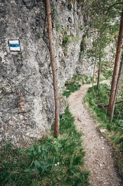 马拉法特拉国家公园岩石上的徒步旅行小径标记, — 图库照片