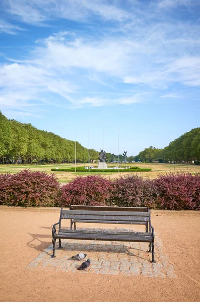 An empty bench in Jasne Blonia park in Szczecin, Poland — Stock Photo, Image