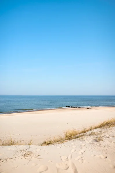 阳光明媚的海岸沙丘照片 — 图库照片