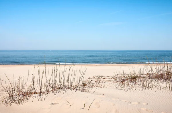 Photo of a sea coast sand dune on a sunny day — Stock Photo, Image