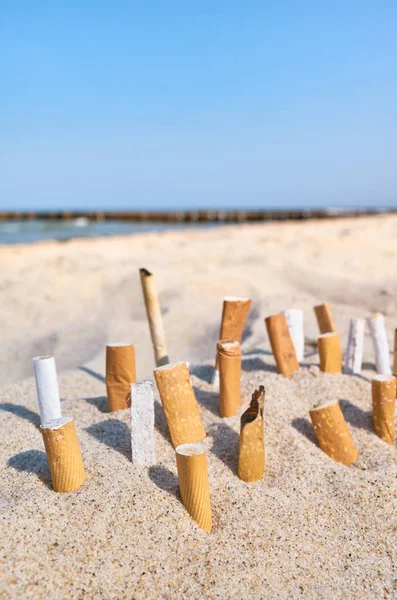 Image rapprochée des mégots de cigarette coincés dans le sable . — Photo