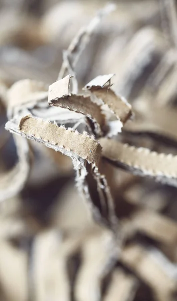 Close up picture of shredded cardboard. — Stock Photo, Image