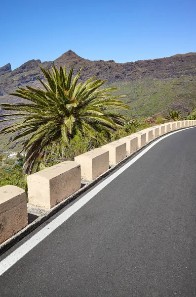Camino de montaña con palmeras a un lado, España . — Foto de Stock