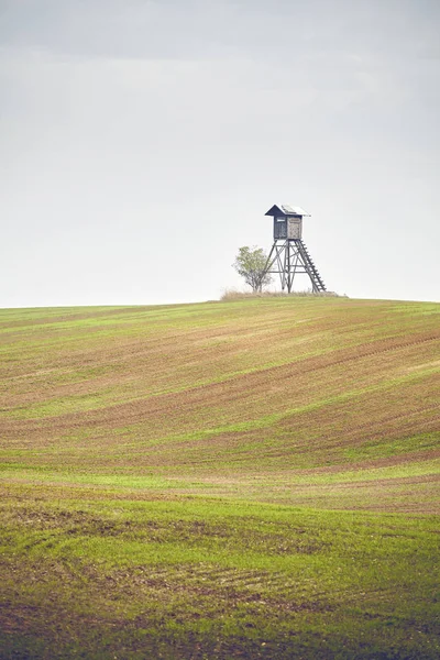 Polowanie na jelenie ambona na polu jesienią. — Zdjęcie stockowe