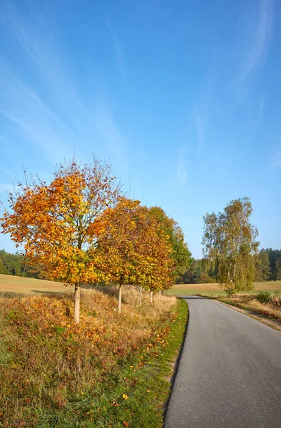 Landweg in de ochtend warm zonlicht. — Stockfoto