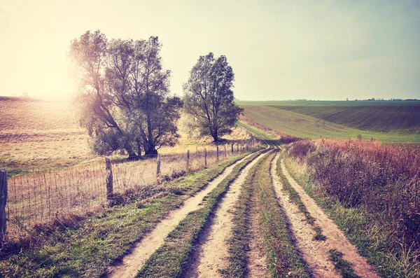 Escénica carretera rural al atardecer . —  Fotos de Stock