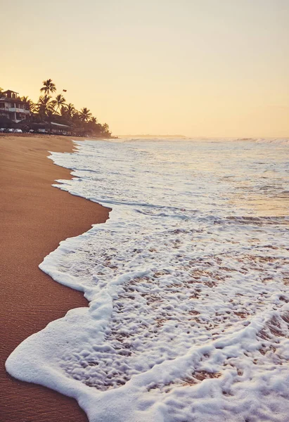 Tropischer Strand Bei Sonnenaufgang Farbtonung Aufgetragen Sri Lanka — Stockfoto
