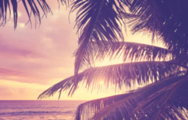 Wazig Kokosnoot Palm Bladeren Silhouetten Bij Zonsondergang Zomer Vakantie Achtergrond — Stockfoto