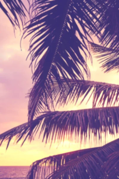 Zamazane Liście Palmy Kokosowej Sylwetki Zachodzie Słońca Tło Wakacji Letnich — Zdjęcie stockowe