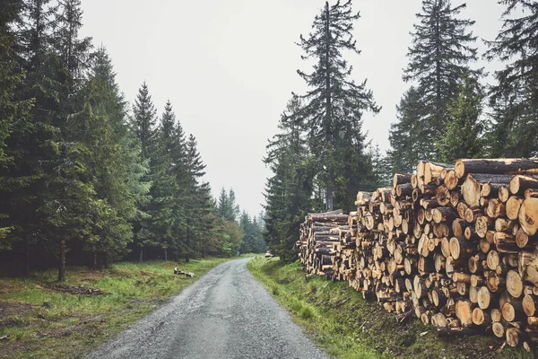 Troncos Madera Apilan Por Una Carretera Bosque Día Lluvioso Brumoso —  Fotos de Stock