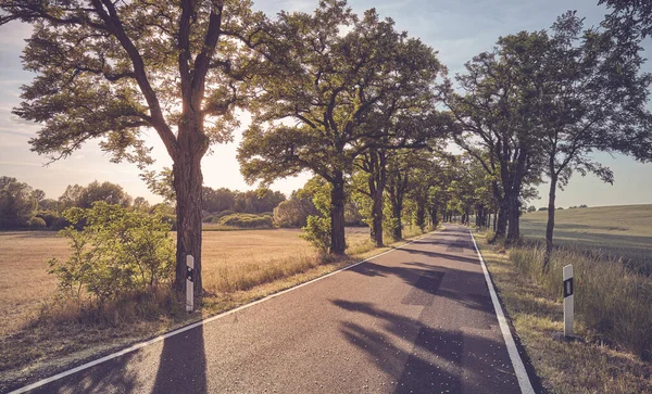 Narrow Countryside Road Sunset Color Toning Applied — Stock Photo, Image