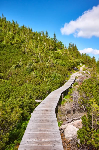 Horská Dřevěná Stezka Národním Parku Karkonosze Polsko — Stock fotografie