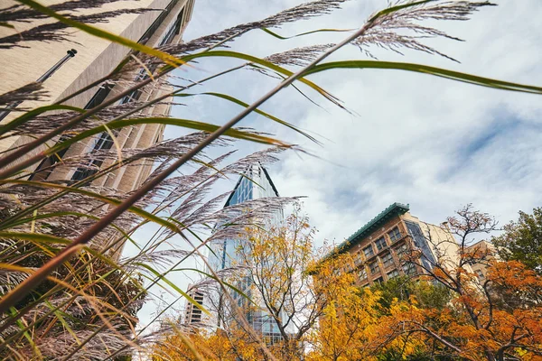 Podzim Salt Lake City Utah Usa — Stock fotografie