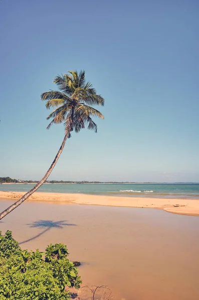 Imagem Retro Tonificada Uma Praia Tropical Com Coqueiro Sri Lanka — Fotografia de Stock