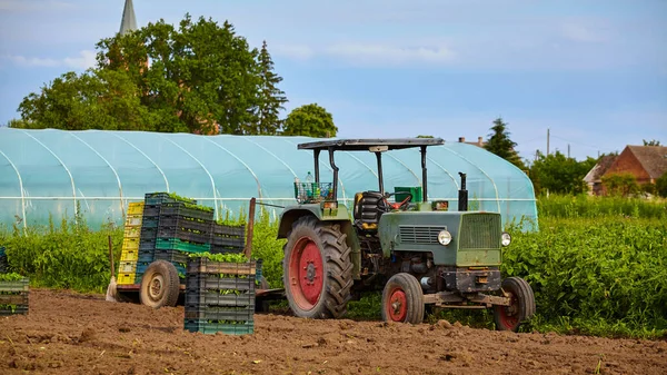 Old Tractor Field Seedlings Boxes Greenhouse Background — Stock Photo, Image