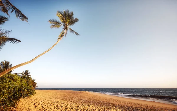 Imagen Retro Tonificada Una Playa Tropical Vacía Atardecer —  Fotos de Stock