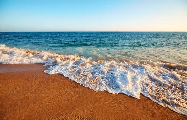 Hermosa Playa Tropical Atardecer — Foto de Stock