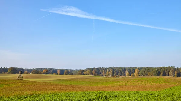 Rural Panoramic Landscape Hunting Tower Field Forest — Stock Photo, Image