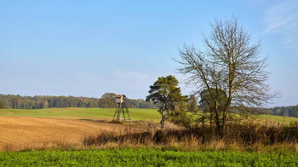 Rural Landscape Hunting Tower Field Forest — Stock Photo, Image