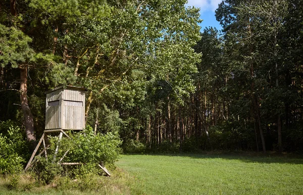 Wooden deer stand (hunting blind) on forest edge.
