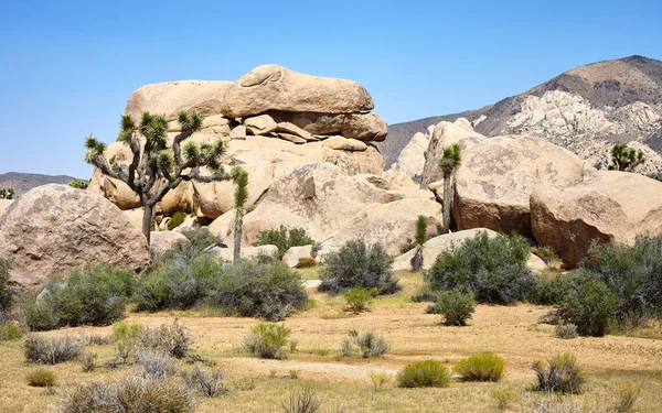 Felsbrocken Joshua Tree Nationalpark Kalifornien Usa — Stockfoto