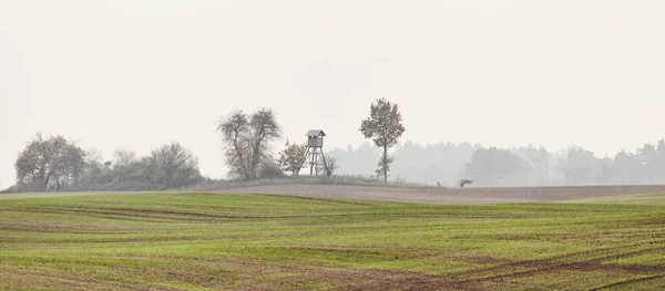 Rural landscape with wooden hunting blind on a field in an autumnal misty morning, color toning applied.