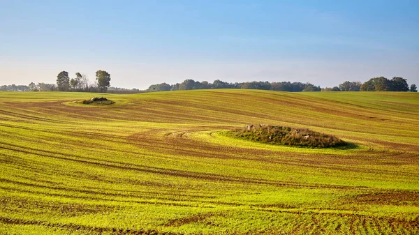 Vue Panoramique Paysage Rural Automnal — Photo