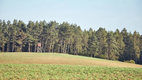 Autumnal Landscape Wooden Hunting Tower Edge Forest Color Toning Applied — Stock Photo, Image