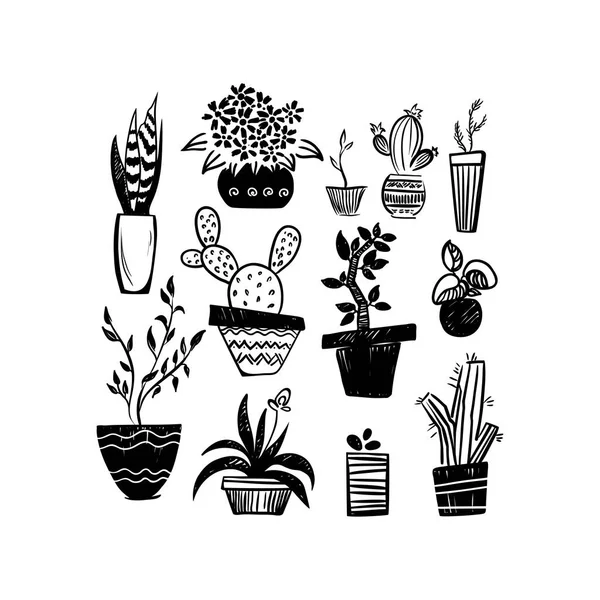Sada Různých Pokojových Rostlin Kaktus Květináčích Obrázek Dekorativní Styl Vektorové Royalty Free Stock Vektory