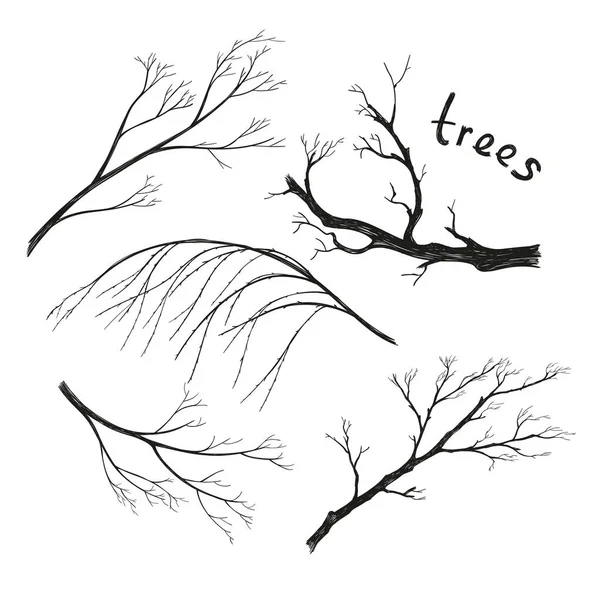 Чорно Біла Векторна Графіка Набір Окремих Гілок Дерева Літер Гілки — стоковий вектор