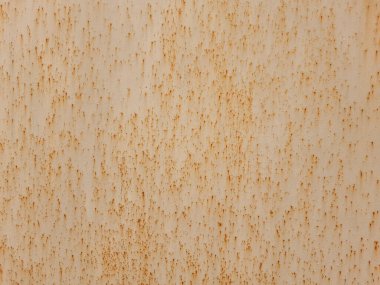 Korozyon elementleriyle birlikte demir yaprağının dokusu. Binanın dış kısmı..