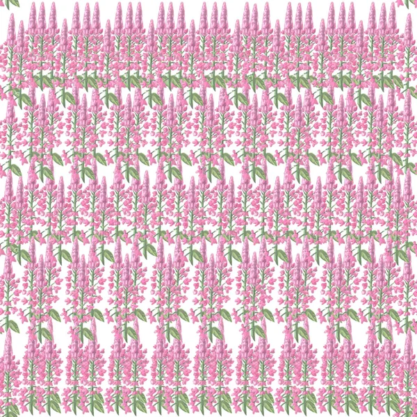 suluboya beyaz arkaplan pembe çiçekler pürüzsüz desenli duvar kağıdı resimlemesi