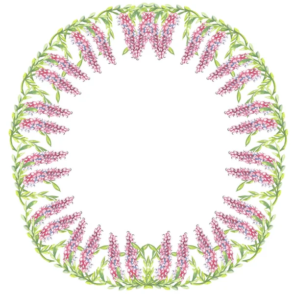 Beyaz arkaplanda suluboya resim. Çerçeve yuvarlak kırmızı püskül çiçek süslemesi.