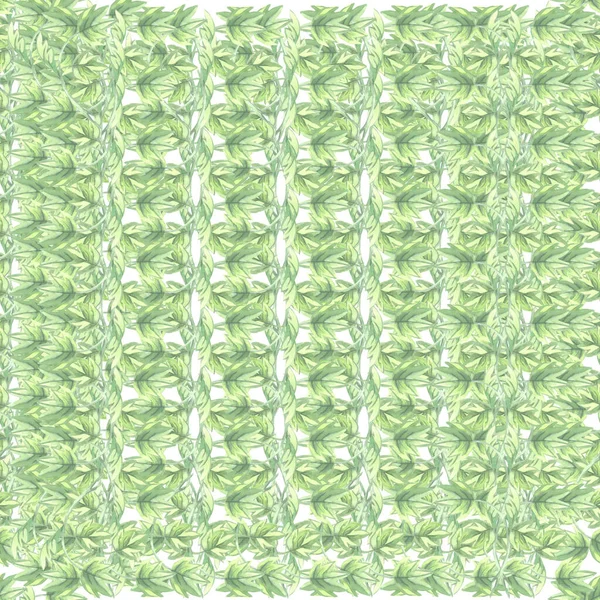 Beyaz arka planda pürüzsüz desenli liana yeşil çalısı suluboya çizimi