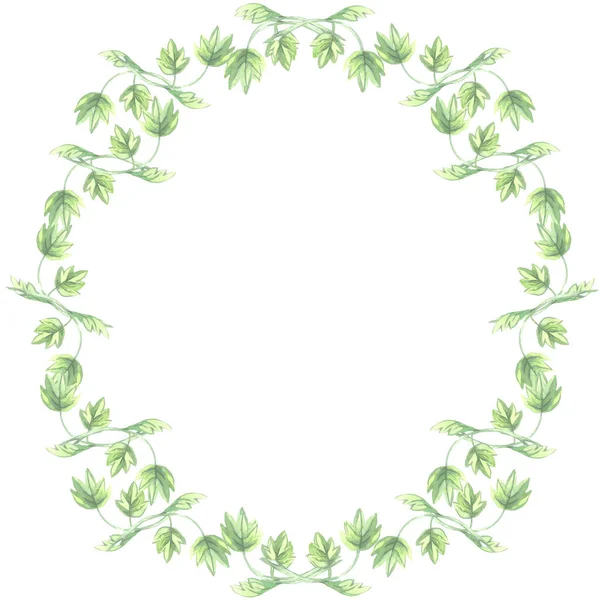 Aquarell Auf Weißem Hintergrund Rahmen Rund Zweig Grün Blätter Muster lizenzfreie Stockbilder