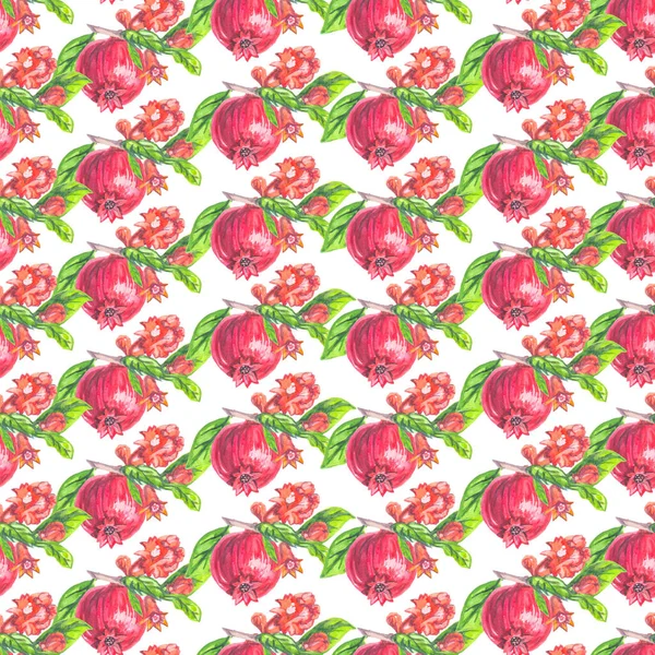 Beyaz zemin üzerinde kusursuz duvar kâğıdı. Çiçekli suluboya nar, doğa.