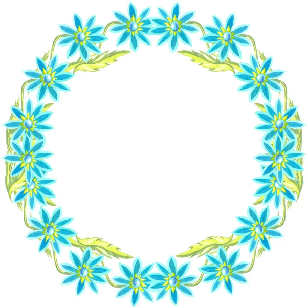 yuvarlak çerçeve parlak mavi suluboya papatyalar beyaz arkaplan çiçeği