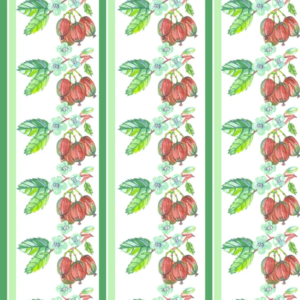 白色背景水彩画的绿色条纹无缝山莓图案 — 图库照片