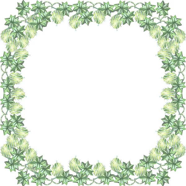 Bektaşi üzümü, beyaz arkaplanda kare kare suluboya.