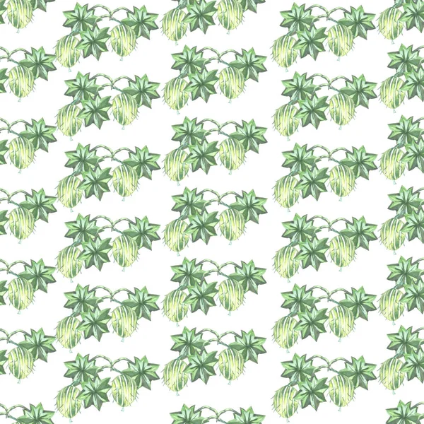 Muster Grüne Nahtlose Stachelbeerpflanze Aquarell Auf Weißem Hintergrund lizenzfreie Stockbilder