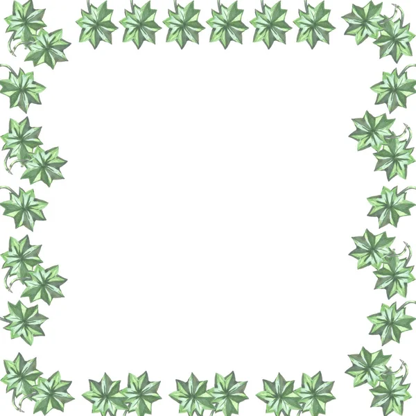 Bir yazı için beyaz arkaplan üzerindeki yeşil yaprakların resimli çerçevesi