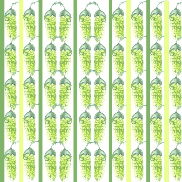 Aquarell Auf Weißem Hintergrund Hopfen Streifen Grüne Zapfen Tapete Nahtlose Stockfoto