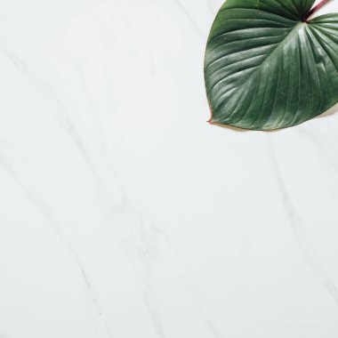 Tropikal yaprak ve çiçek yapılmış yaratıcı doğa düzeni. Düz yatıyordu. Yaz konsepti.