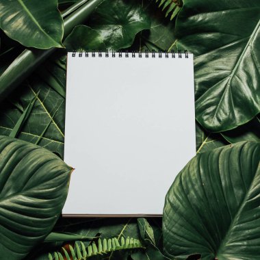 Çiçeklerden ve kağıt kart notlu yapraklardan oluşan yaratıcı bir düzen. Düz yatıyordu. Doğa konsepti