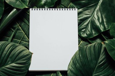 Çiçeklerden ve kağıt kart notlu yapraklardan oluşan yaratıcı bir düzen. Düz yatıyordu. Doğa konsepti