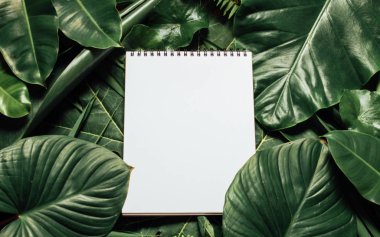 Çiçeklerden ve kağıt kart notlu yapraklardan oluşan yaratıcı bir düzen. Düz yatıyordu. Doğa konsepti