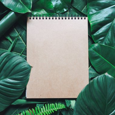 Tropikal yaprak ve çiçek yapılmış yaratıcı doğa düzeni. Düz yatıyordu. Yaz konsepti.