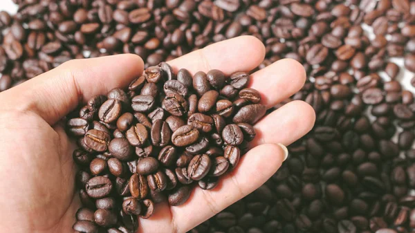 Geröstete Kaffeebohnen Arabica Hintergrund Ansicht Von Oben Kopierraum — Stockfoto