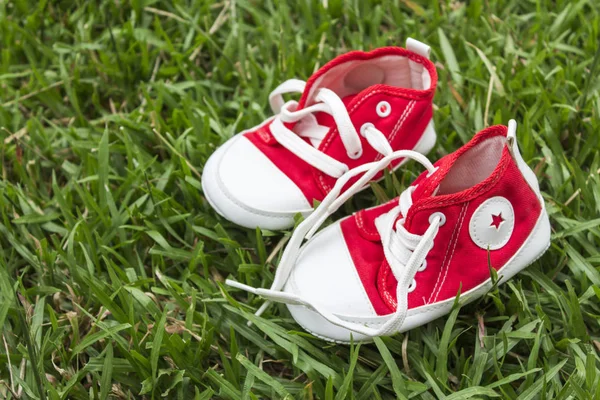 Lindo Rojo Pequeños Zapatos Lona Hierba — Foto de Stock