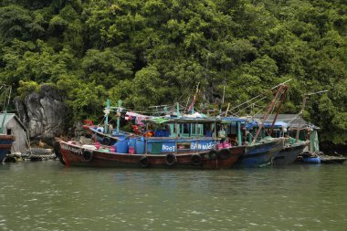 Bai Tu Long Bay, Vietnam - Ağustos 2017: körfezde balıkçı tekneleri